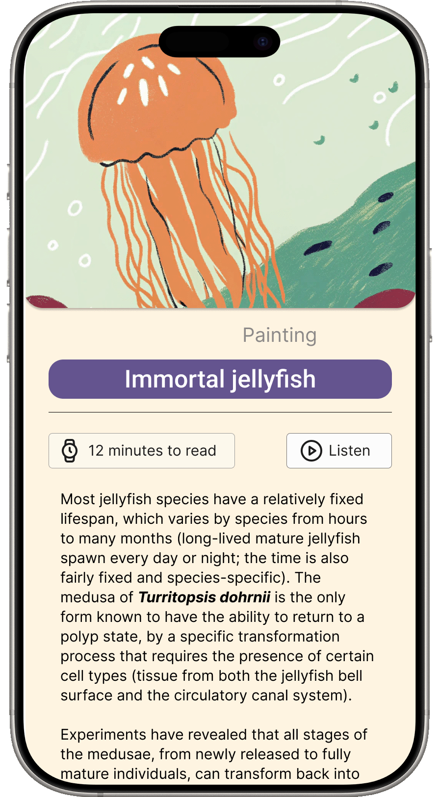 Jellyfish